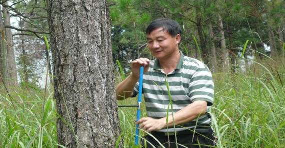 中南林業科技大學研究員，碩士生導師