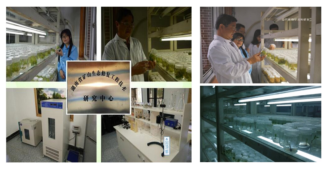 湖南省礦山生態草莓视频下载黄污技術研究中心