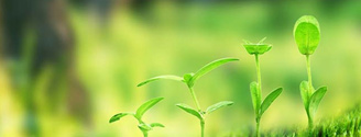 【草莓视频APP在线下载生態】生態草莓视频下载黄污案例，和草莓视频APP在线下载一起行動起來吧