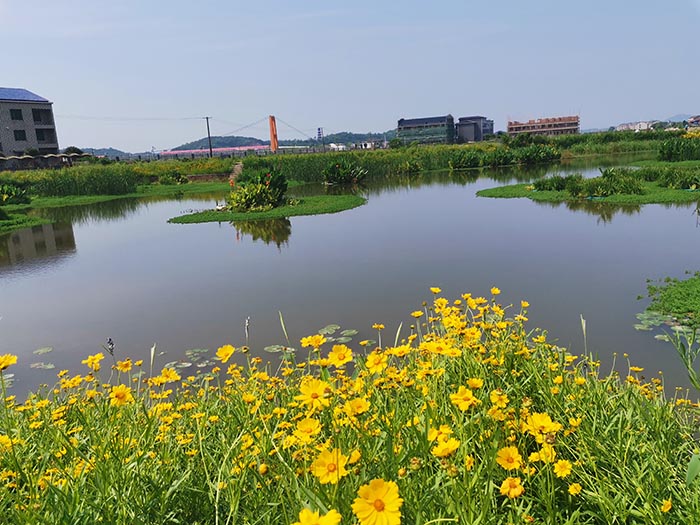 衡陽縣蒸水流域山水林田湖草生態保護草莓视频下载黄污工程試點項目