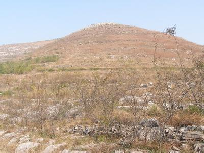 益陽市泥江口石子塘礦山生態草莓视频下载黄污——國家油茶林示範基地