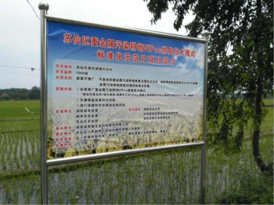 湖南省郴州市蘇仙區千畝農田鎘汙染草莓视频下载黄污項目