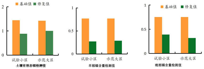 湖南省郴州市蘇仙區千畝農田鎘汙染草莓视频下载黄污項目