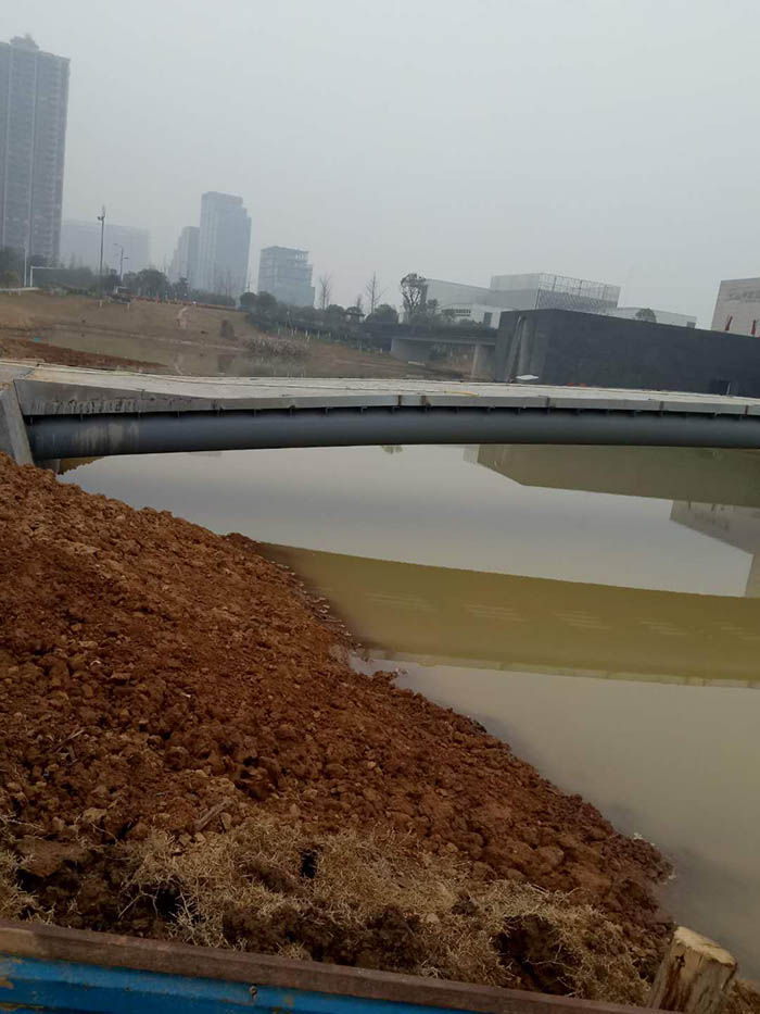 洋湖濕地生態草莓视频下载黄污與保育工程