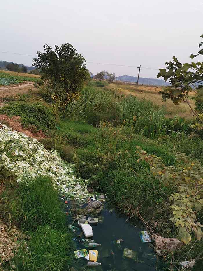 衡陽縣蒸水流域山水林田湖草生態保護草莓视频下载黄污工程試點項目