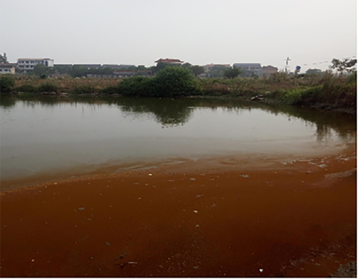 衡陽縣蒸水流域山水林田湖草生態保護草莓视频下载黄污工程試點項目